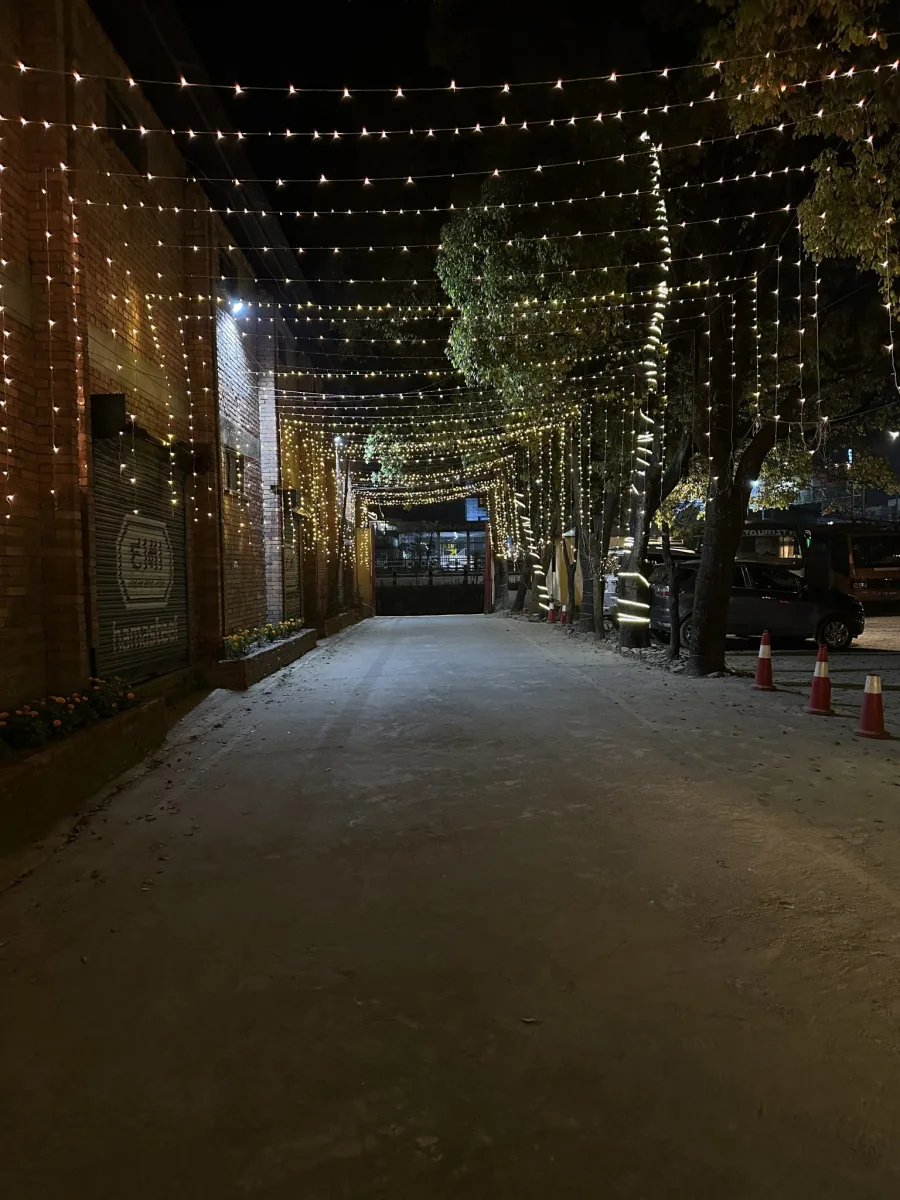 Lane decorated with hanging string lights for a wedding at night